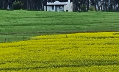 Bluegum Farm Cottage verblyf naby Caledon